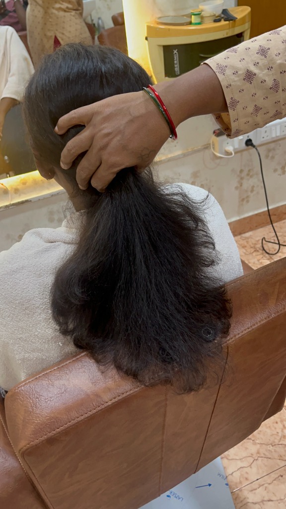 Professional Hair Styling & Ponytail Grooming